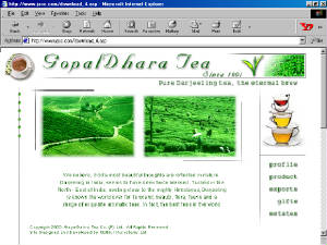 tea-layout2.jpg